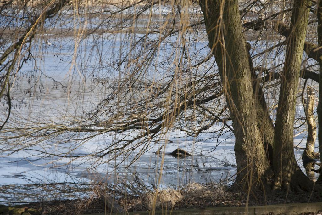Villa Weissensee Postupim Exteriér fotografie