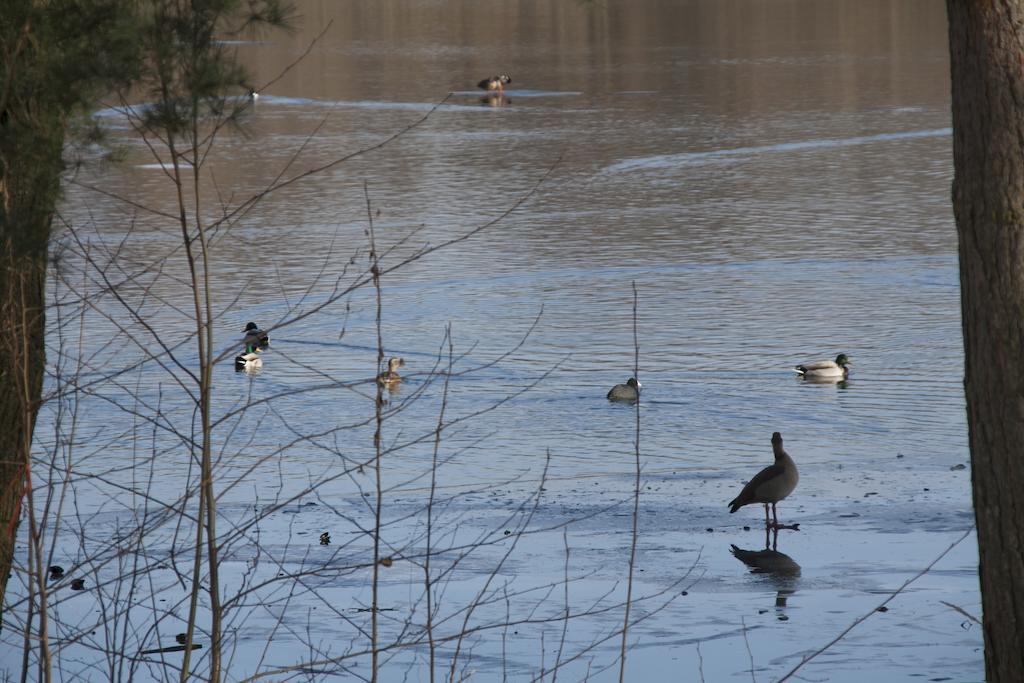 Villa Weissensee Postupim Exteriér fotografie